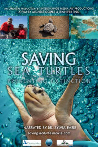 Saving Sea Turtles: Preventing Extinction