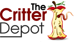 The Image is of a half eaten apple.